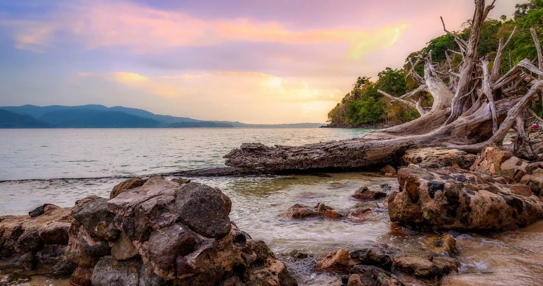 Roamcrafts - DMC Andaman Explorer – 6 Days, 3 Islands & Coastal Wonders